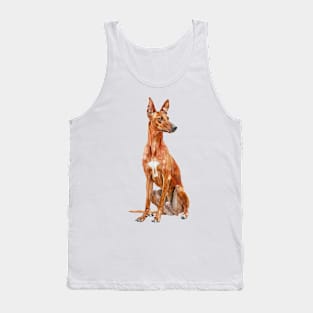 Cirneco DellEtna Tank Top